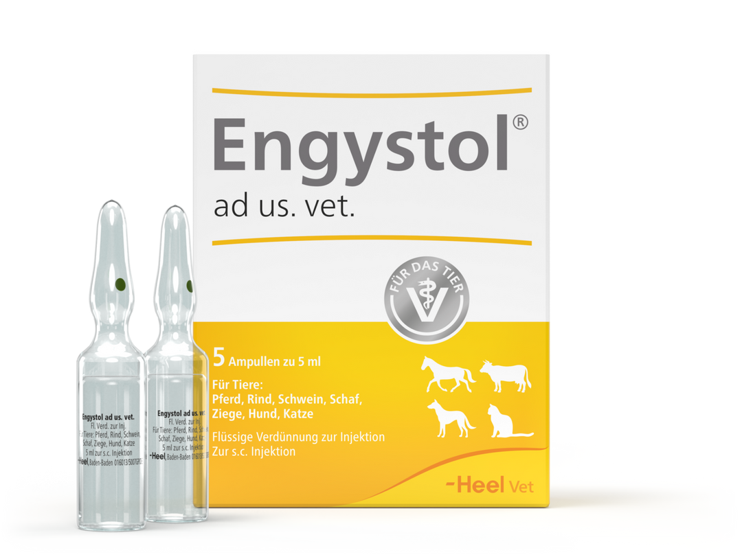 Engystol ad us vet 5ml (VET)