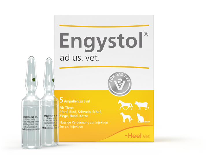 Engystol ad us vet 5ml (VET)