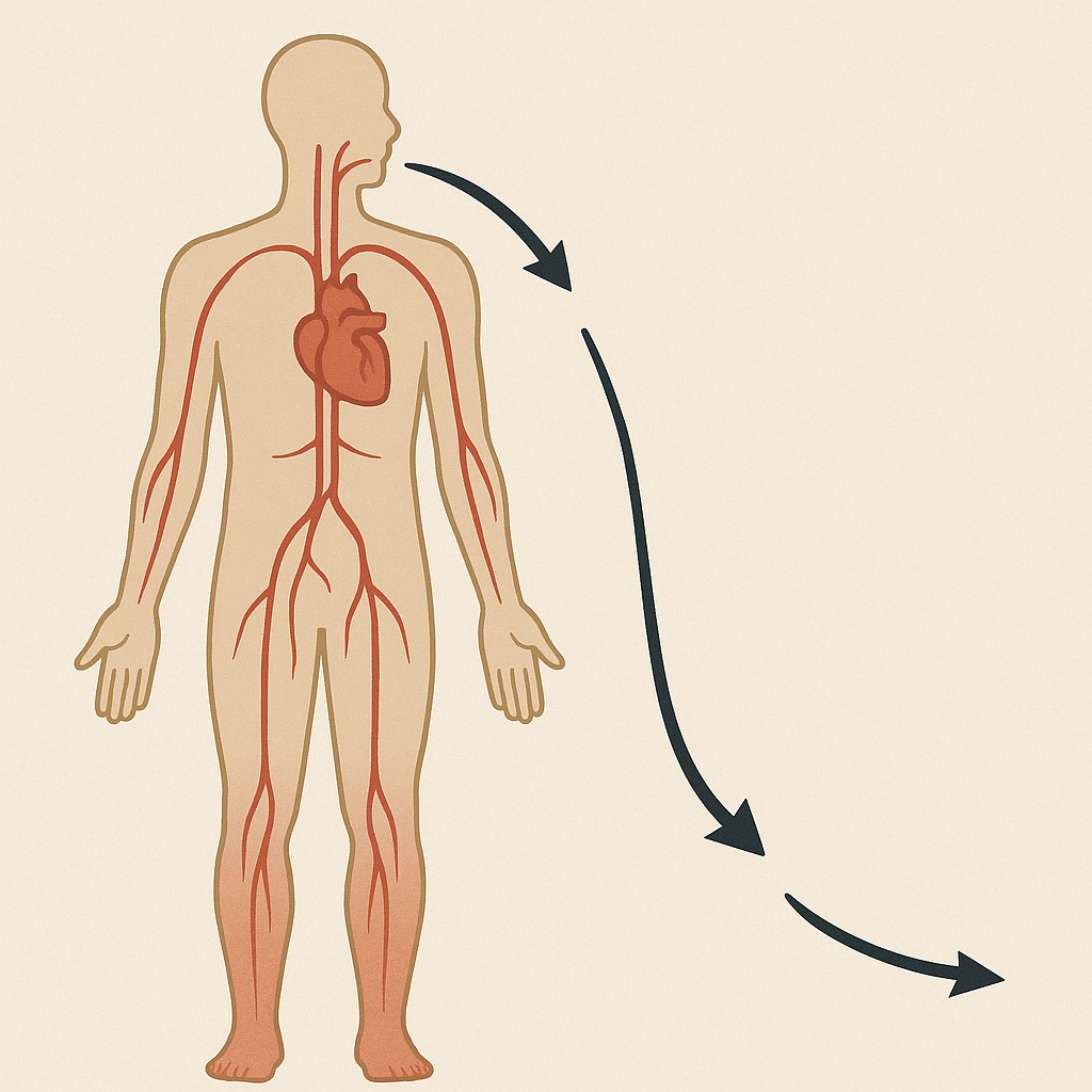 AurumHeel in the internistic practice