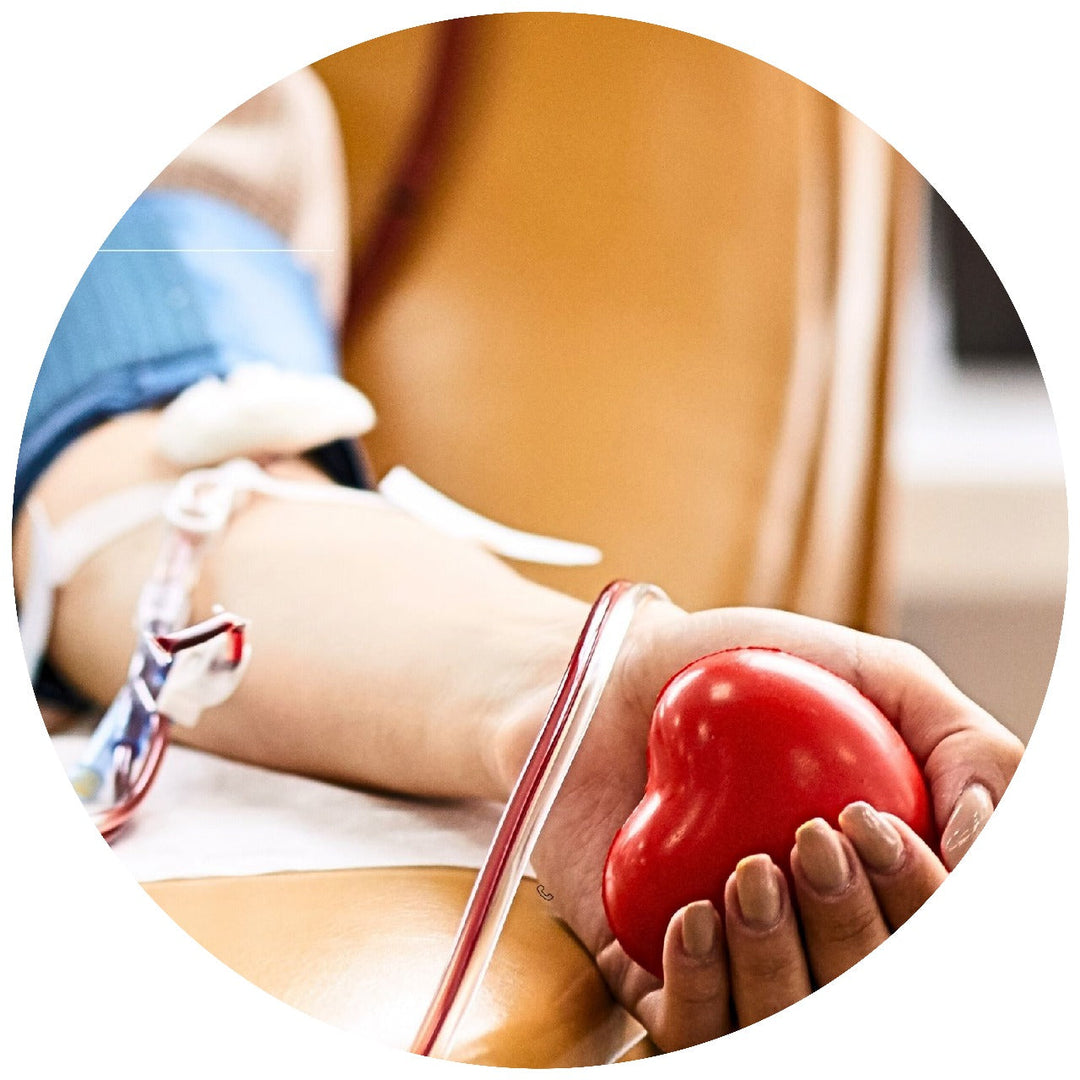 High Blood Pressure & Cholesterol Support