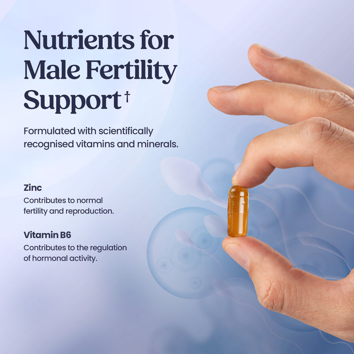 Fertility Support Men – 60 Capsules