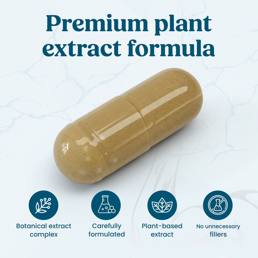 Male Performance Support - 120 Capsules