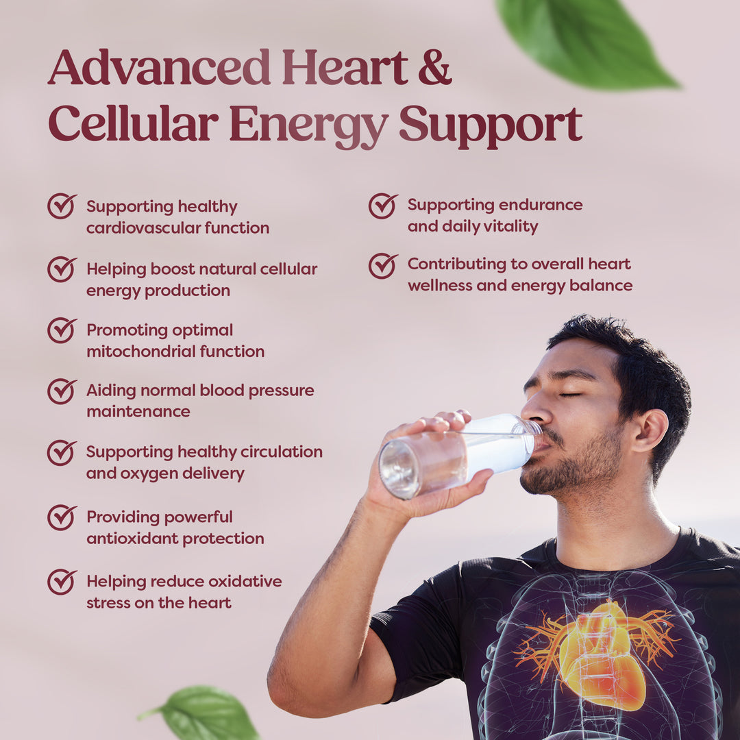 Coenzyme Q10 – 100 mg - 60 Capsules