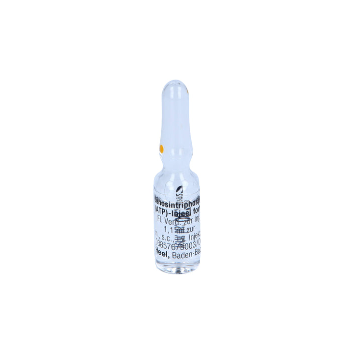 Adenosintriphosphate FORTE (ATP) Ampoules