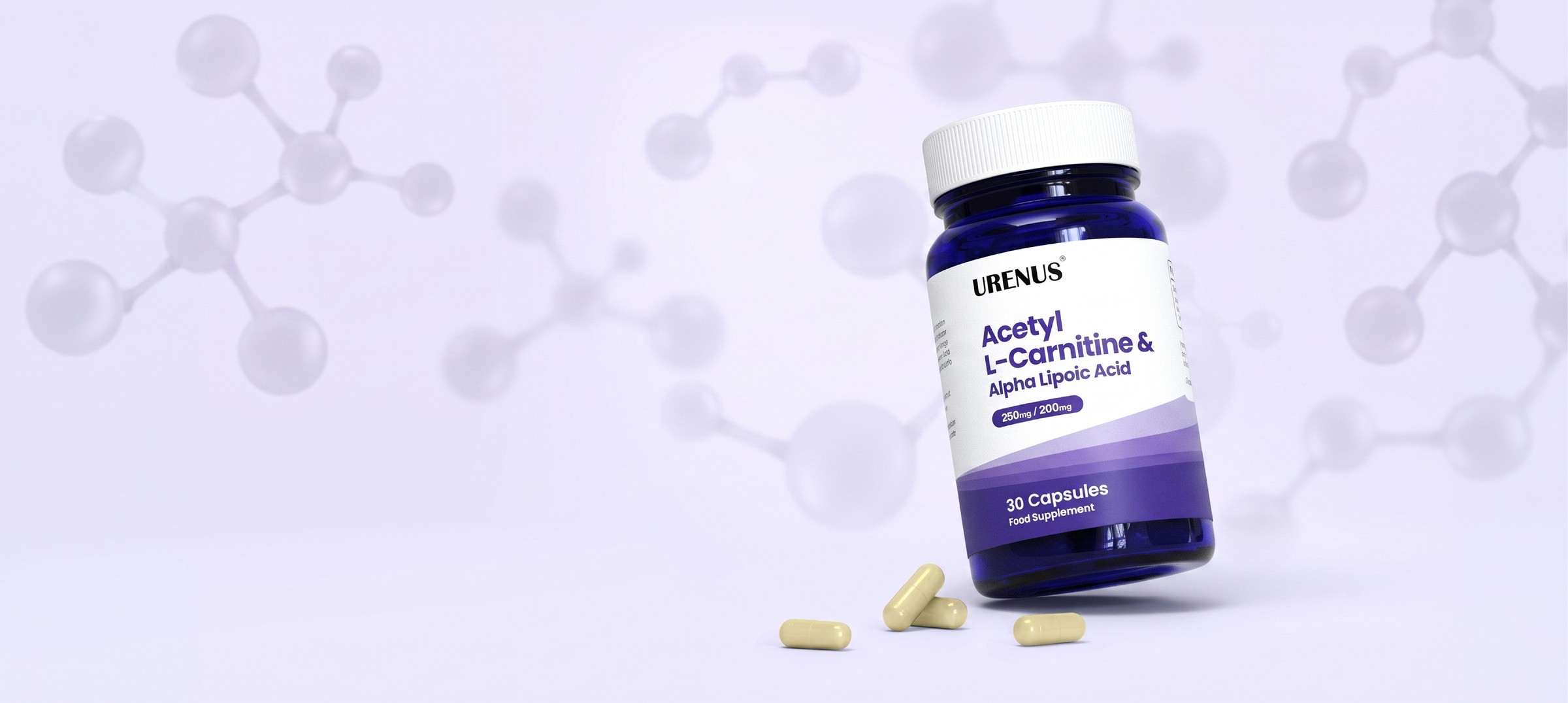 Acetyl L-Carnitine & Alpha Lipoic Acid