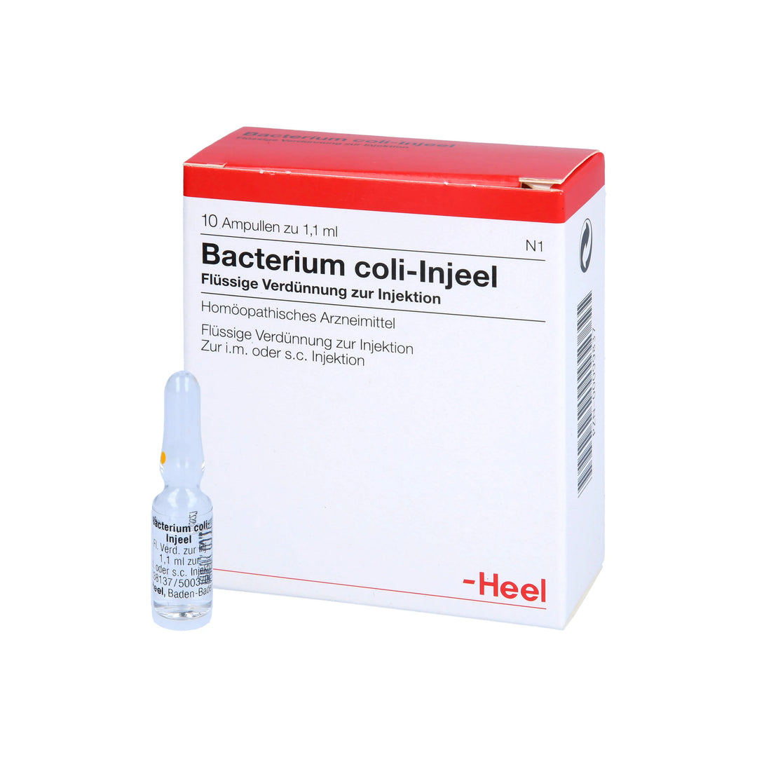 Bacterium Coli 10 Ampoules