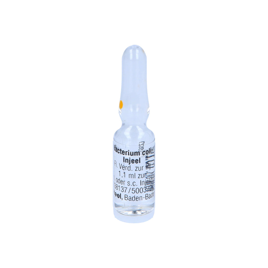 Bacterium Coli 10 Ampoules