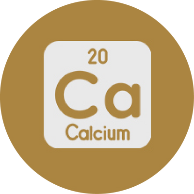 Enhances calcium absorption