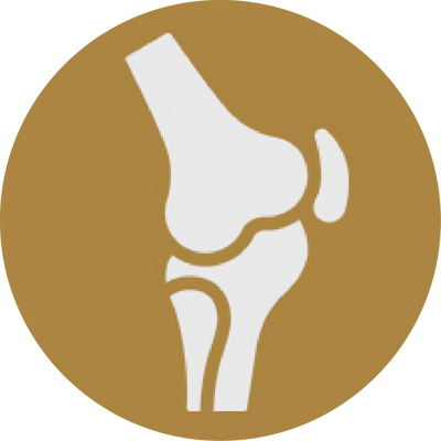 Help maintain mobility & joint comfort