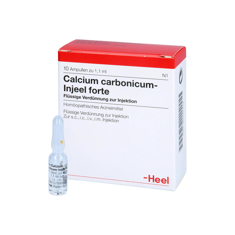 Calcium Carbonicum FORTE 10 Ampoules