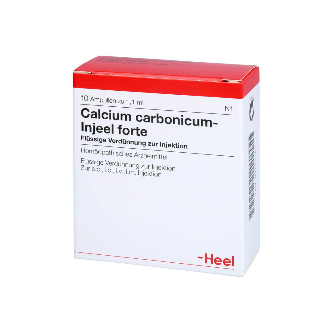 Calcium Carbonicum FORTE 10 Ampoules