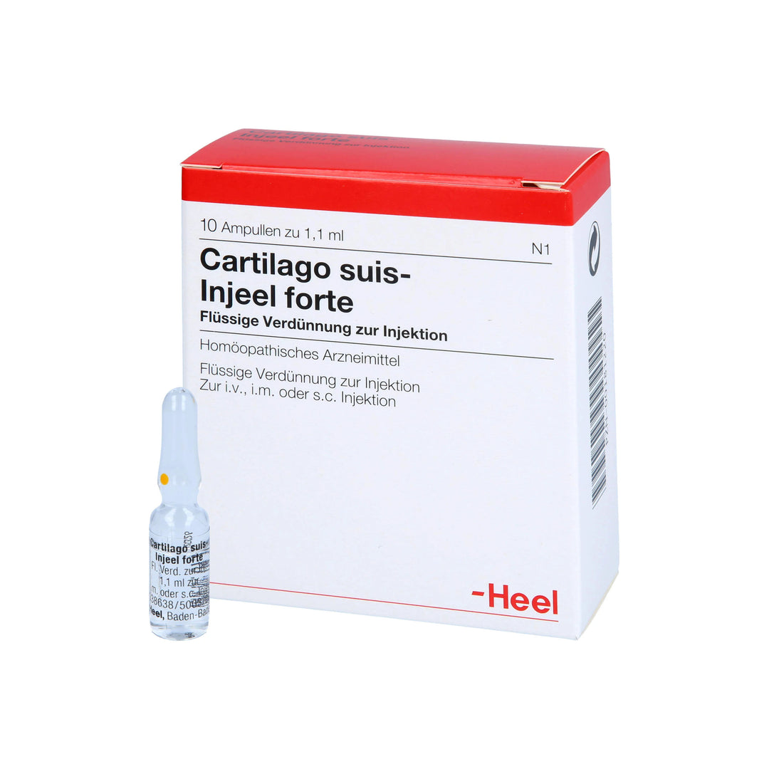 Cartilago Suis FORTE 10 Ampoules