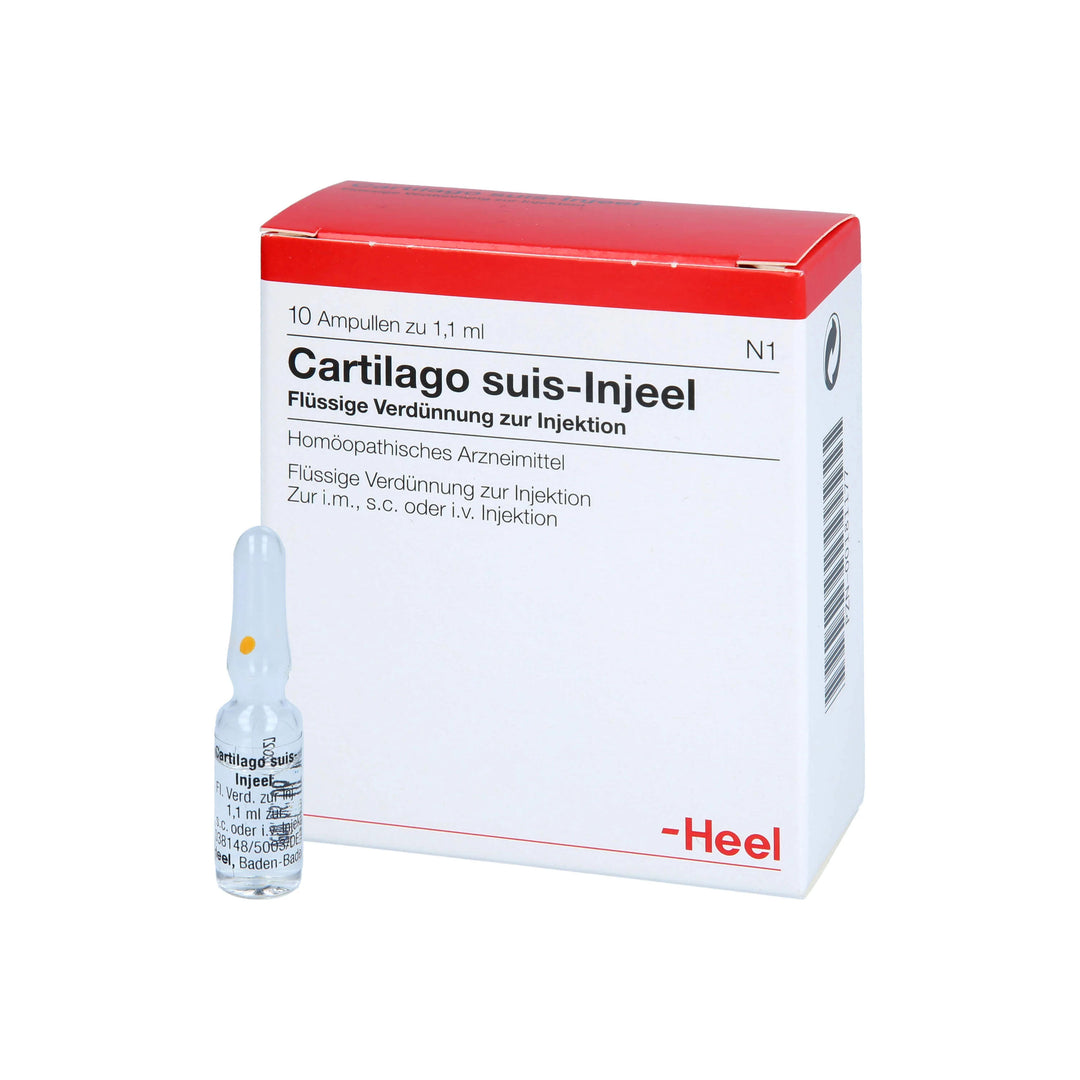 Cartilago Suis 10 Ampoules