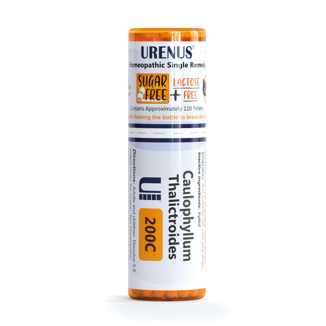 Caulophyllum Thalictroides Sugar-Free