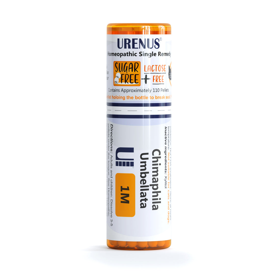 Chimaphila Umbellata Sugar-Free