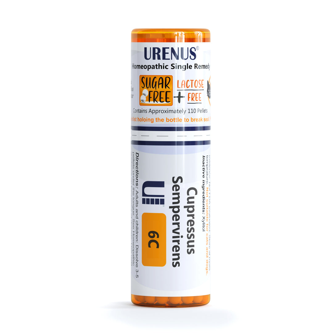 Cupressus Sempervirens in 6C 30C 200C or 1M Urenus Homeopathic Remedy Homeopathy Medicine