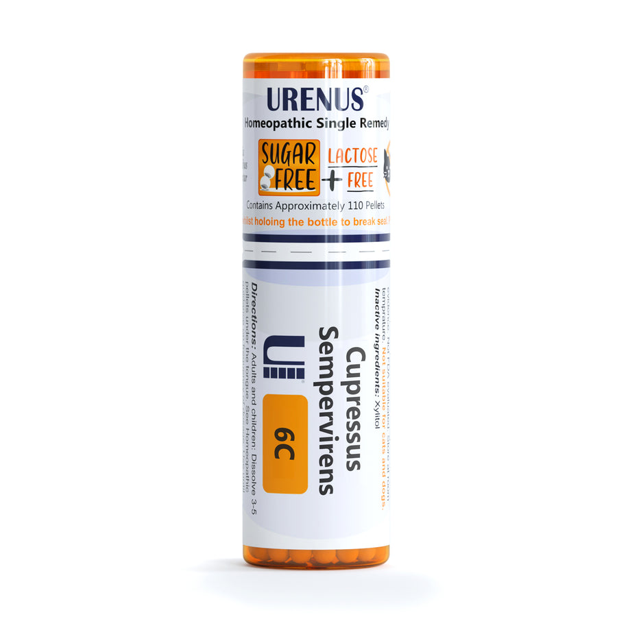 Cupressus Sempervirens in 6C 30C 200C or 1M Urenus Homeopathic Remedy Homeopathy Medicine