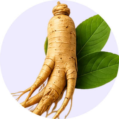 Siberian Ginseng