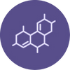 Supports Hormonal Activity