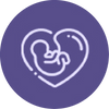 Contains Folate, Which Contributes to Maternal Tissue Growth During Pregnancy