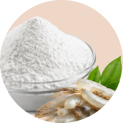Glucosamine Sulphate 450 mg