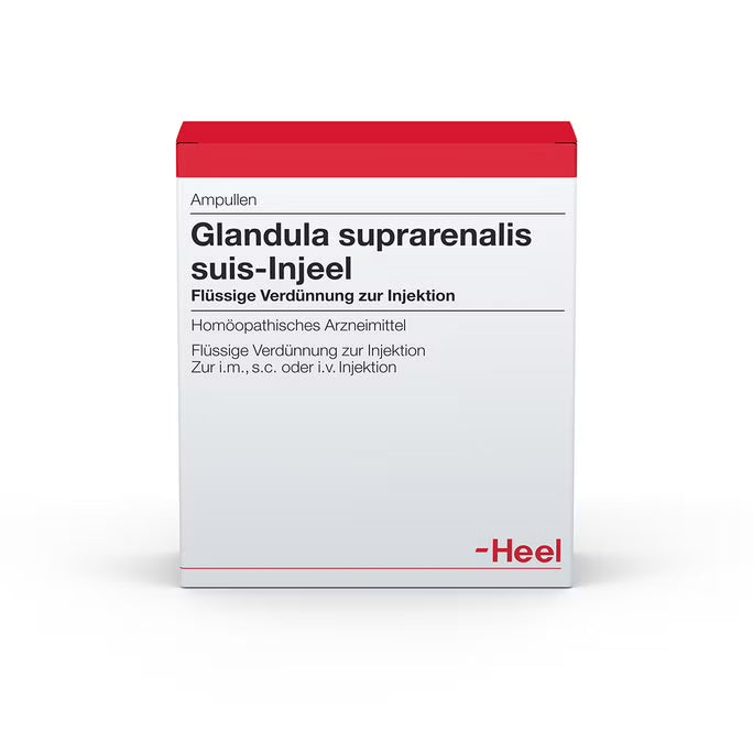 Glandula Suprarenalis Suis Injeel 10 Ampoules