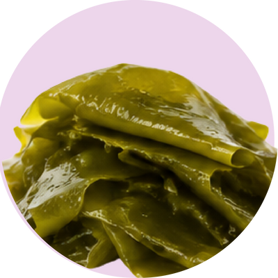 Kelp