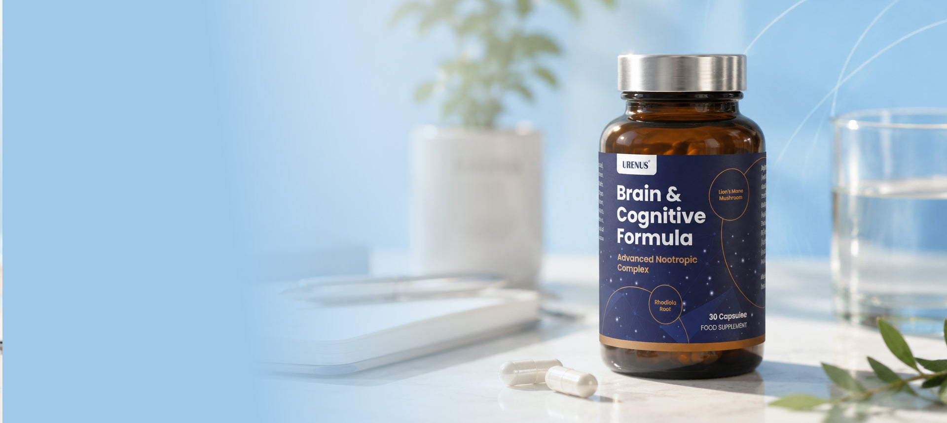 Brain & Cognitive Formula