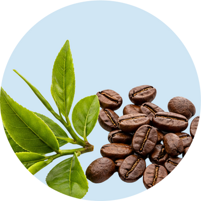 L-Theanine + Caffeine