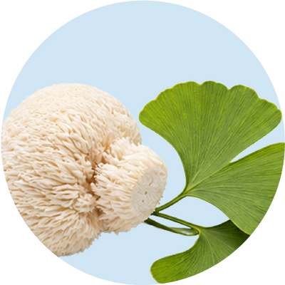 Lion's Mane + Ginkgo Biloba