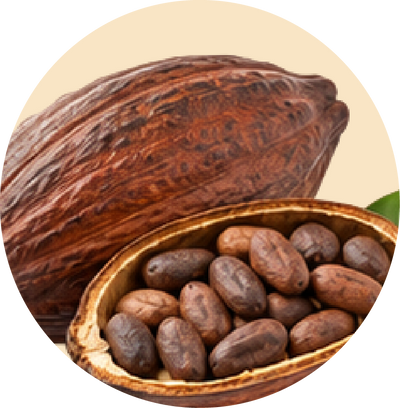 Theobromine