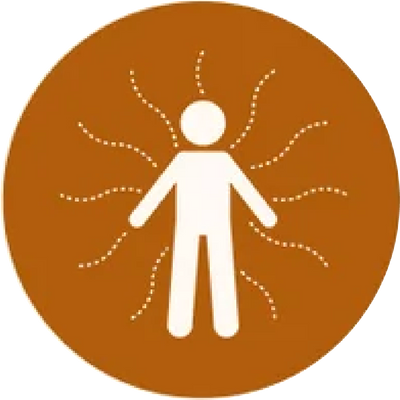Supports daily energy production