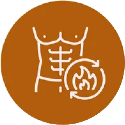 Supports the Body’s Natural Fat Metabolism