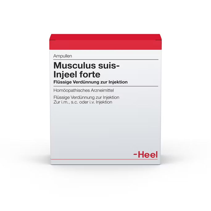 Musculus Suis Injeel Forte 10 Ampoules