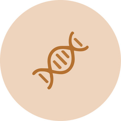 Normal collagen formation