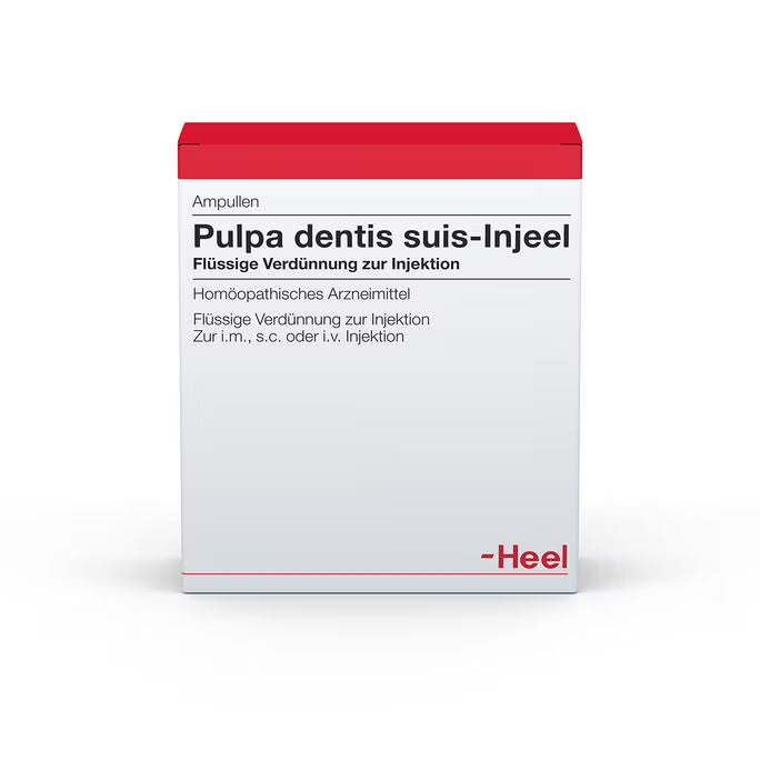 Pulpa Dentis Suis 10 Ampoules