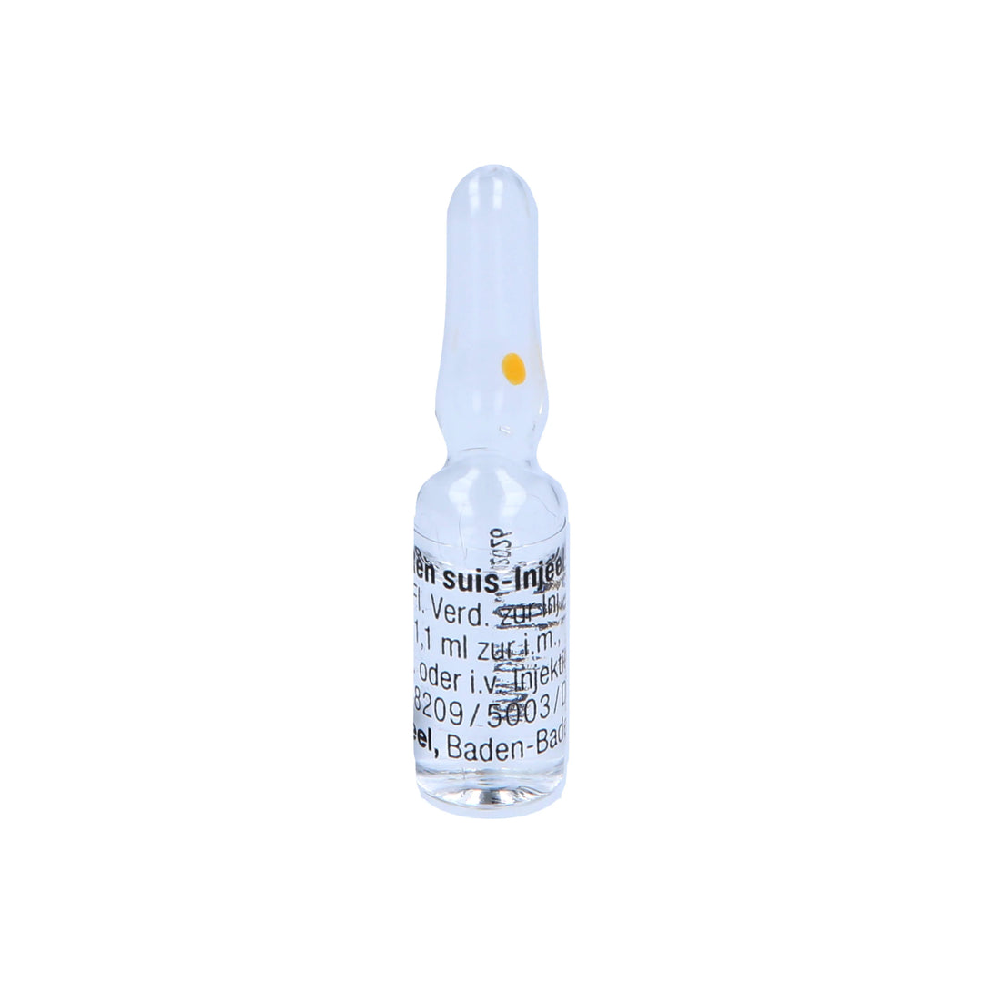 Injeal Heel Ren Suis Injeel 10 Ampoules – Urenus