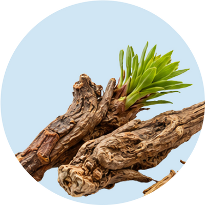 Rhodiola Rosea