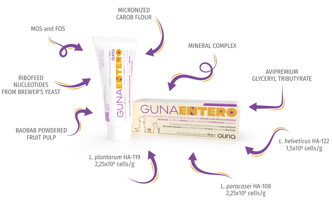 GUNA ENTERO 50gm Paste Tube for Pets