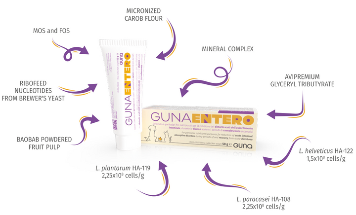GUNA ENTERO 50gm Paste Tube for Pets