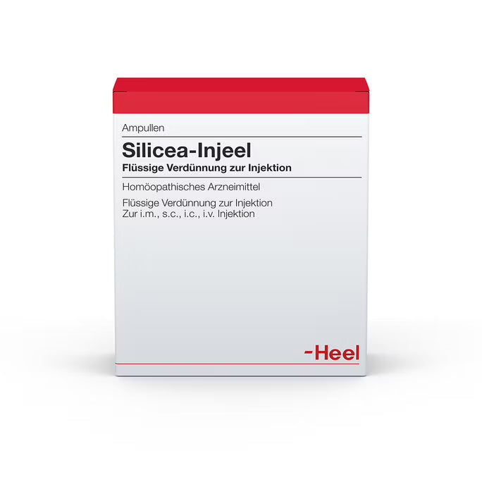 Silicea 10 Ampoules