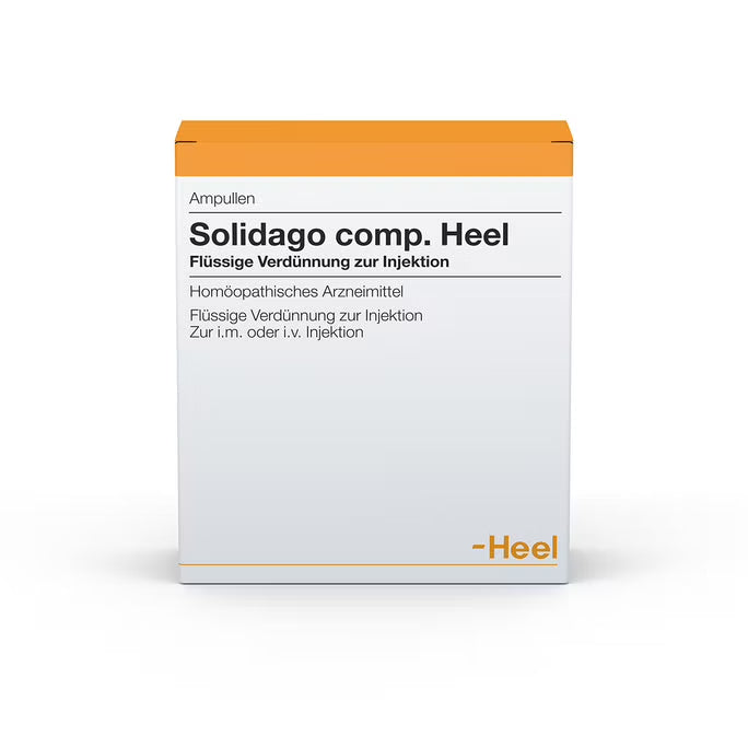Solidago Compositum 10 Ampoules