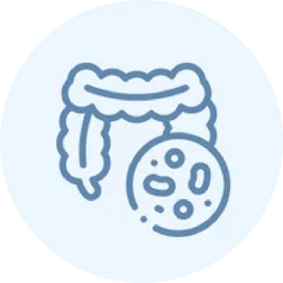 Supports gut balance during daily stress