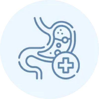 SupportEveryday Digestive Comfort