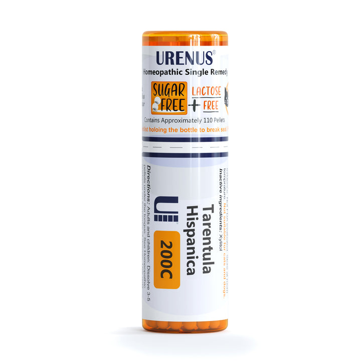 Tarentula Hispanica Sugar-Free