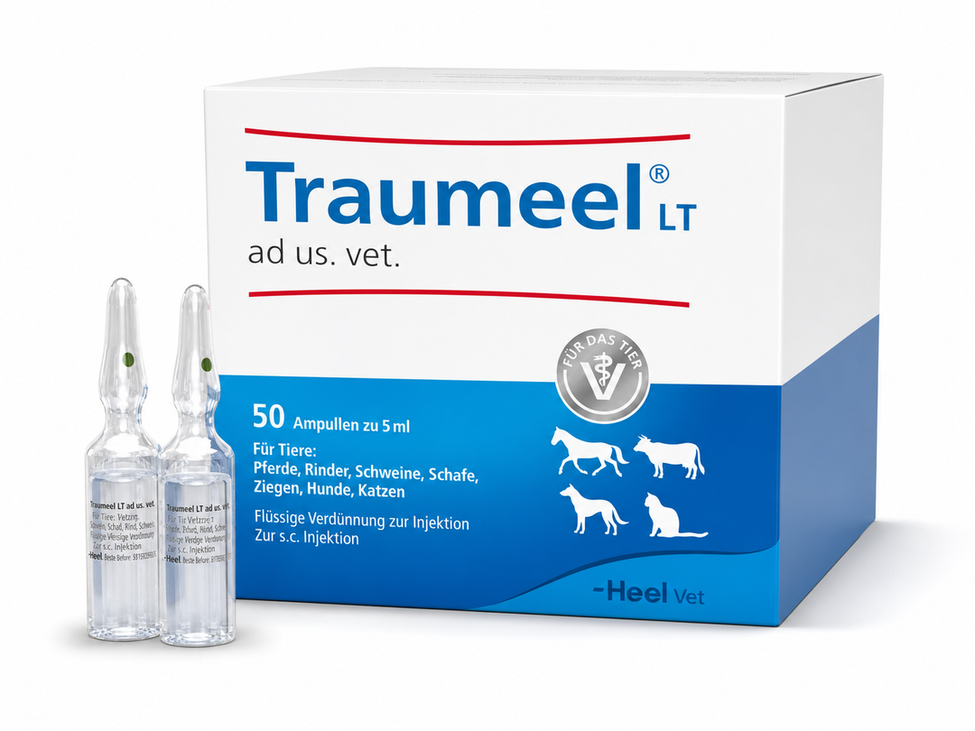 Traumeel® ad us vet 5ml (VET)