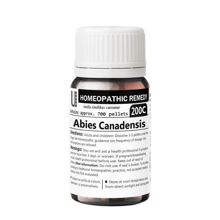 Abies Canadensis
