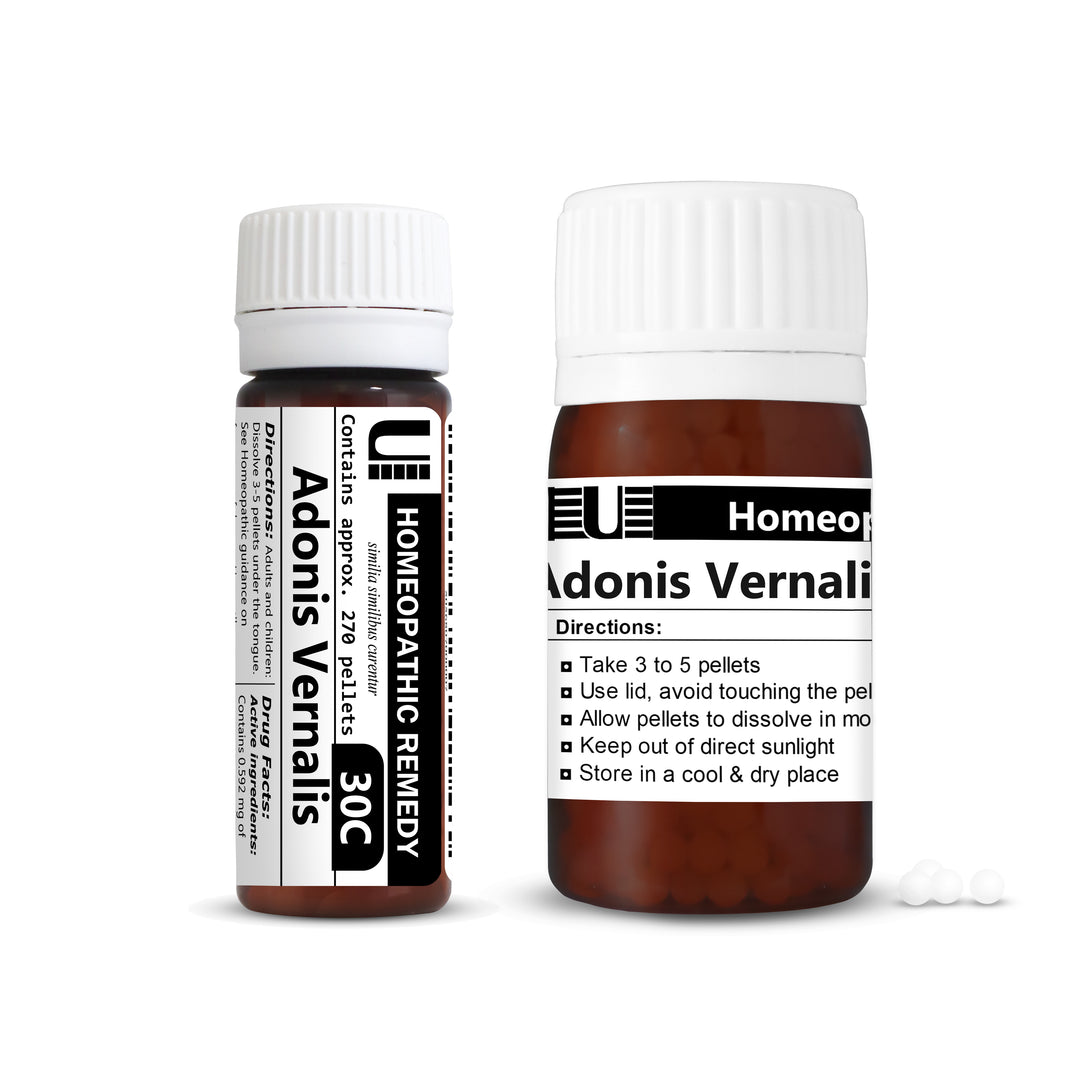 Adonis Vernalis in 6C 30C 200C or 1M Urenus Homeopathic Remedy Homeopathy Medicine