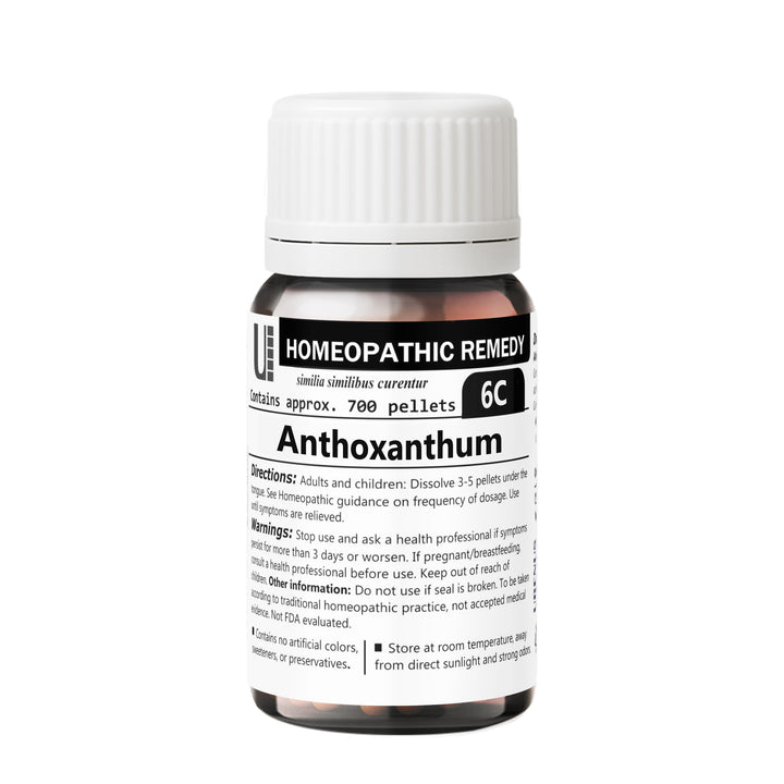 Anthoxanthum Odoratum