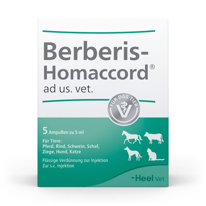 Berberis Homaccord ad us vet 5ml 5 Ampoules (VET)